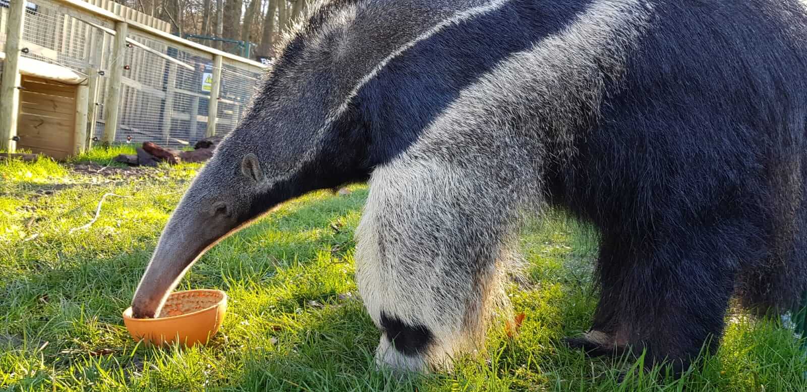 UCI University Registrar Enrollment