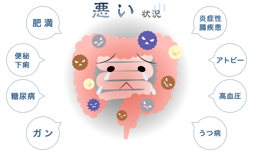 腸内フローラ移植の健康相談｜ジムス株式会社