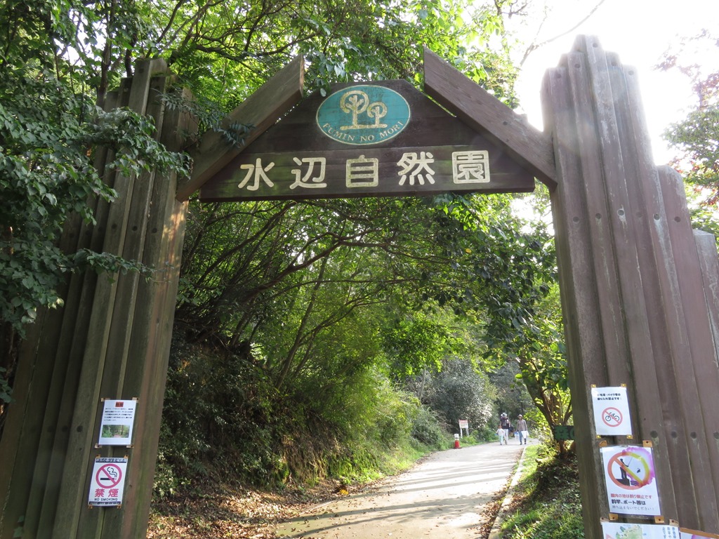 府民の森緑の文化園むろいけ園地 に行って見たけれど広すぎて一画だけの下見 人生一度 腰椎破裂骨折にも負けない