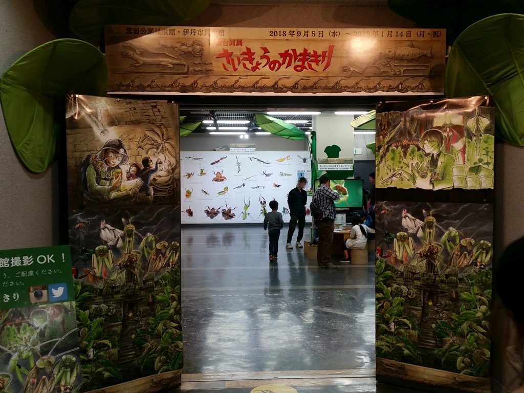 伊丹市昆虫館のさいきょうのかまきり展が中二心をくすぐります カマキリの綺麗さとカッコ良さを再認識できるイベント 人生一度 腰椎破裂骨折にも負けない