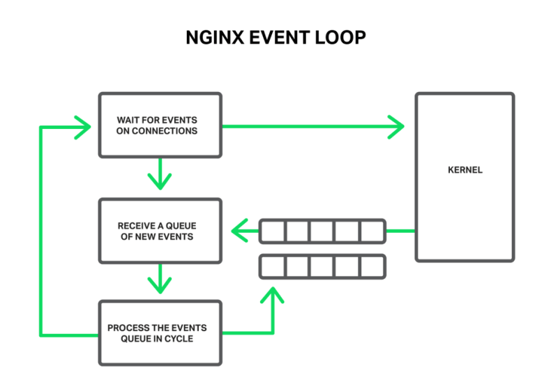 Drupal 8 Nginx