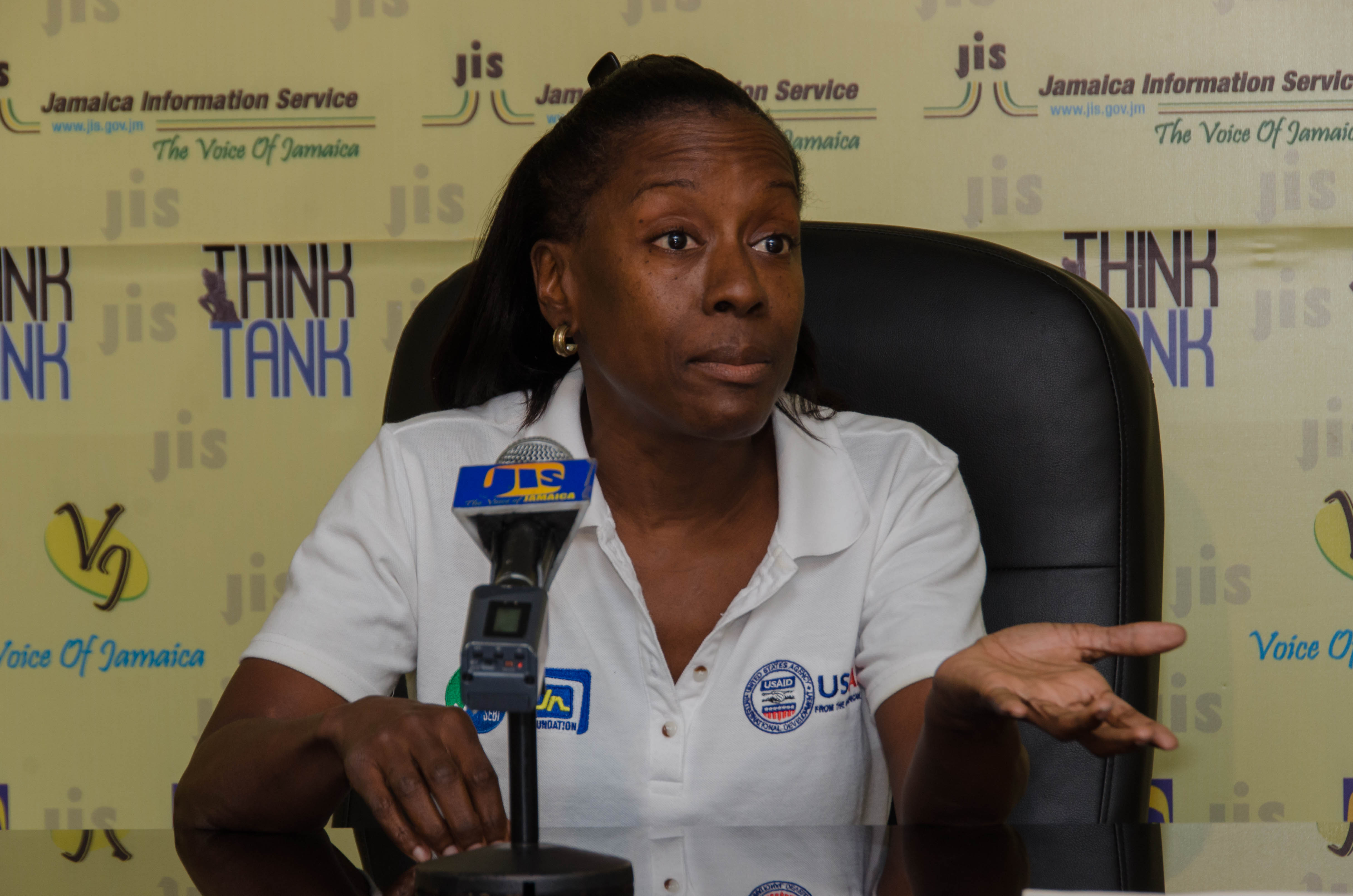 Social Enterprise Summit to be Staged in Kingston Jamaica Information