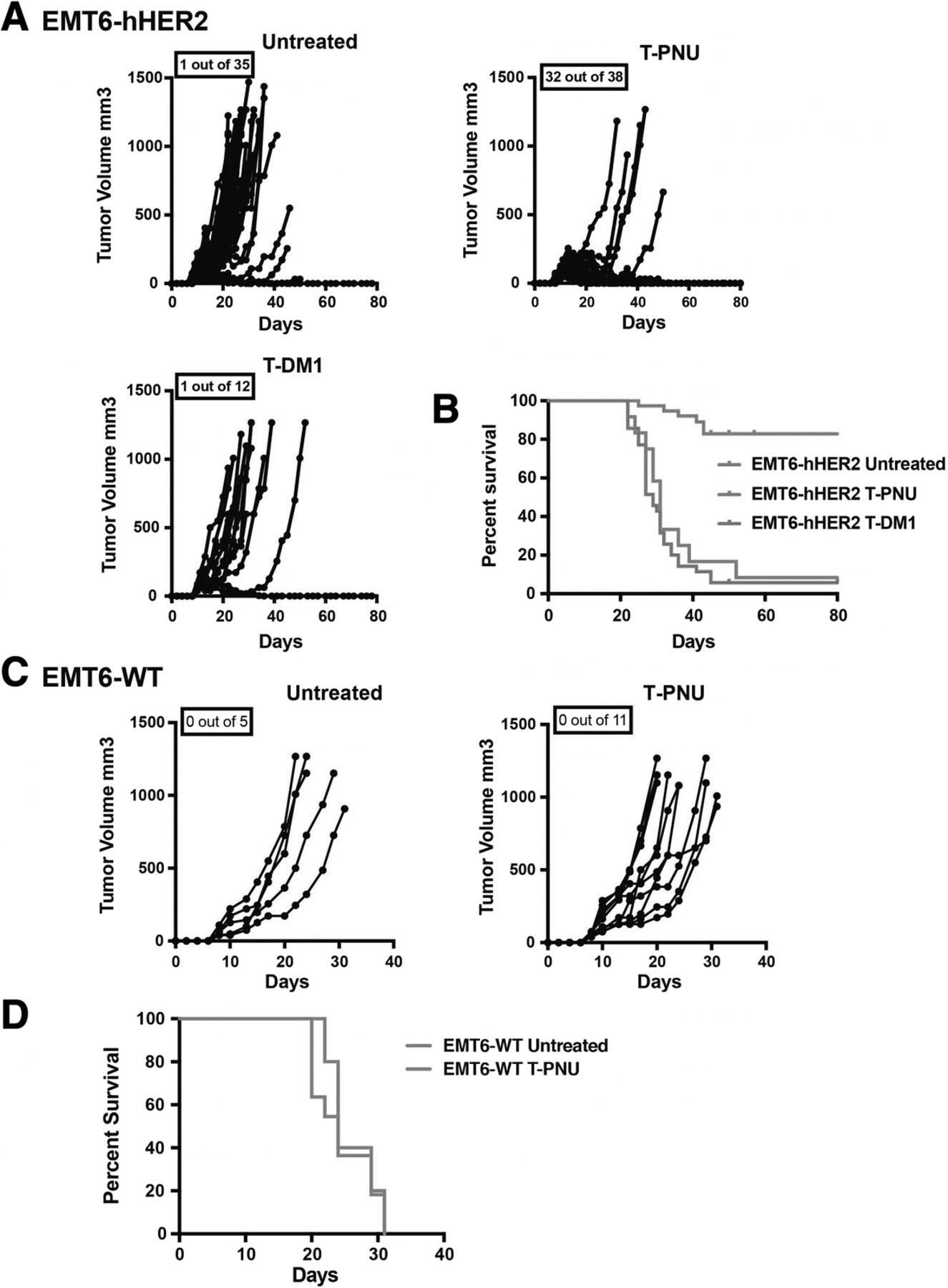 A novel antiHER2 anthracyclinebased antibodydrug conjugate induces