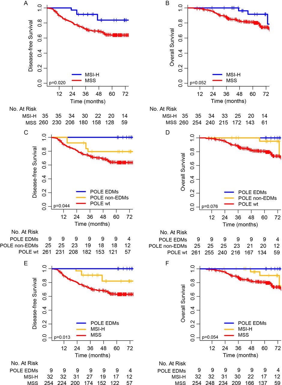 Somatic POLE exonuclease domain mutations elicit enhanced intratumoral