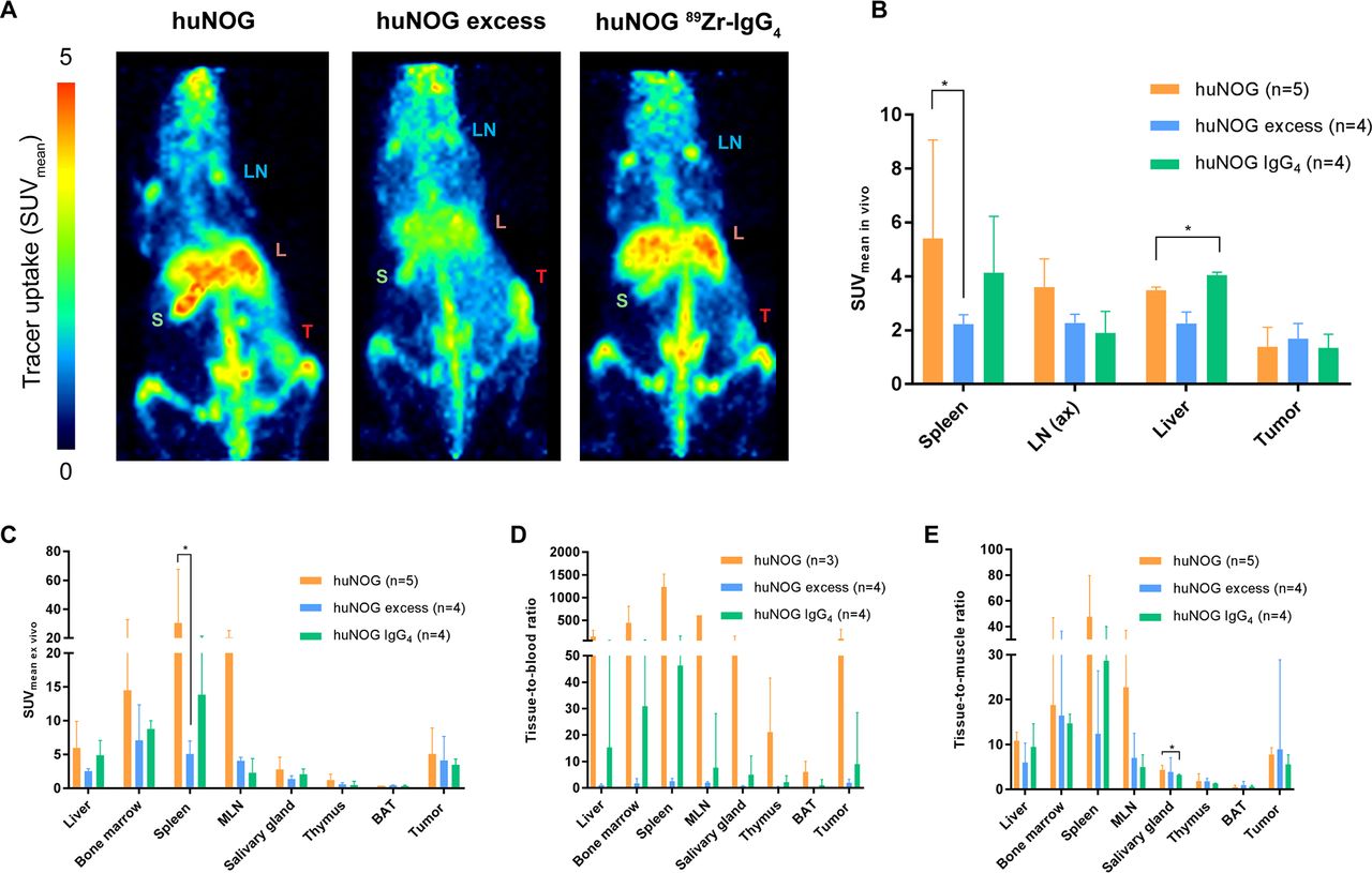89Zrpembrolizumab biodistribution is influenced by PD1mediated