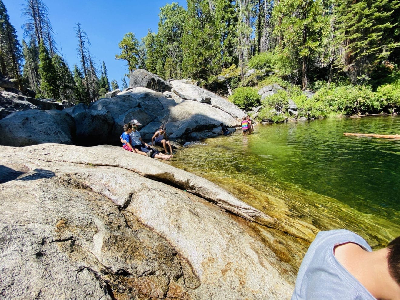 Dinkey Creek Camping JJ and The Bug