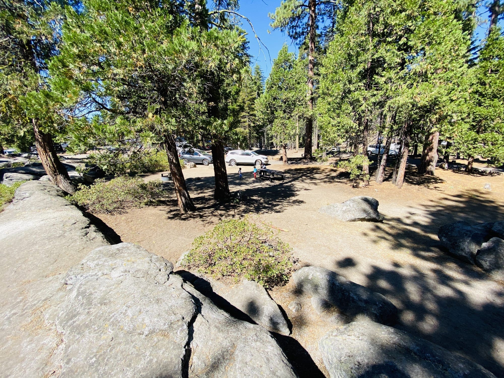 Dinkey Creek Camping JJ and The Bug