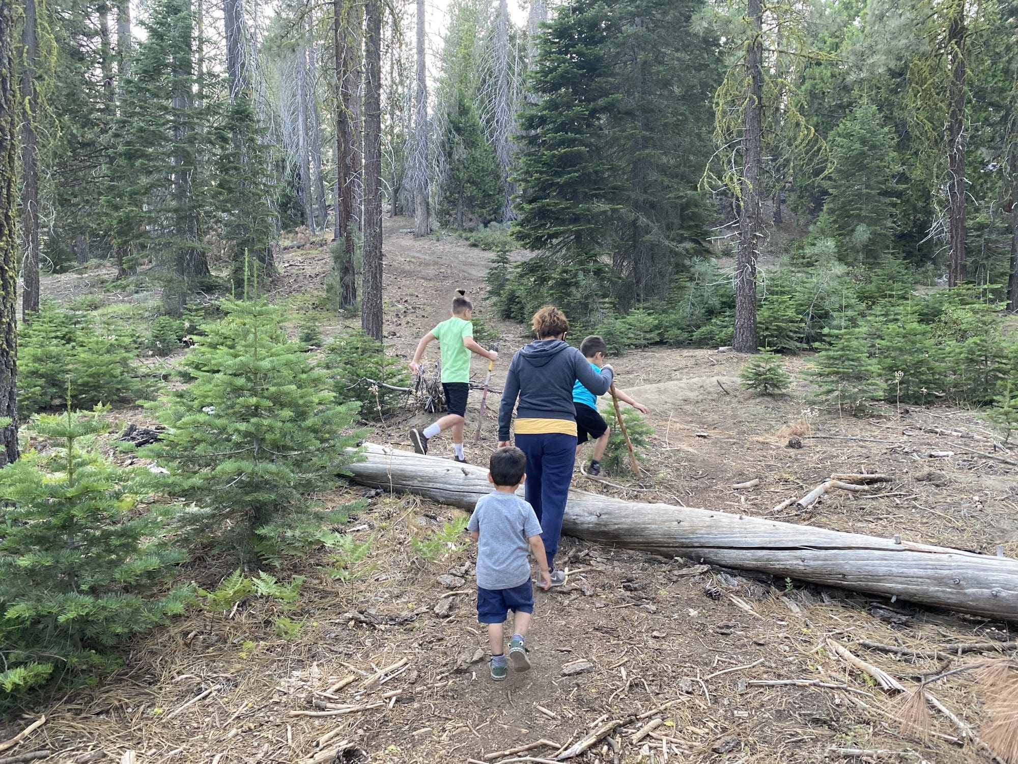 Dinkey Creek Camping Trip 3 Days of Summer Fun in the Sierra National