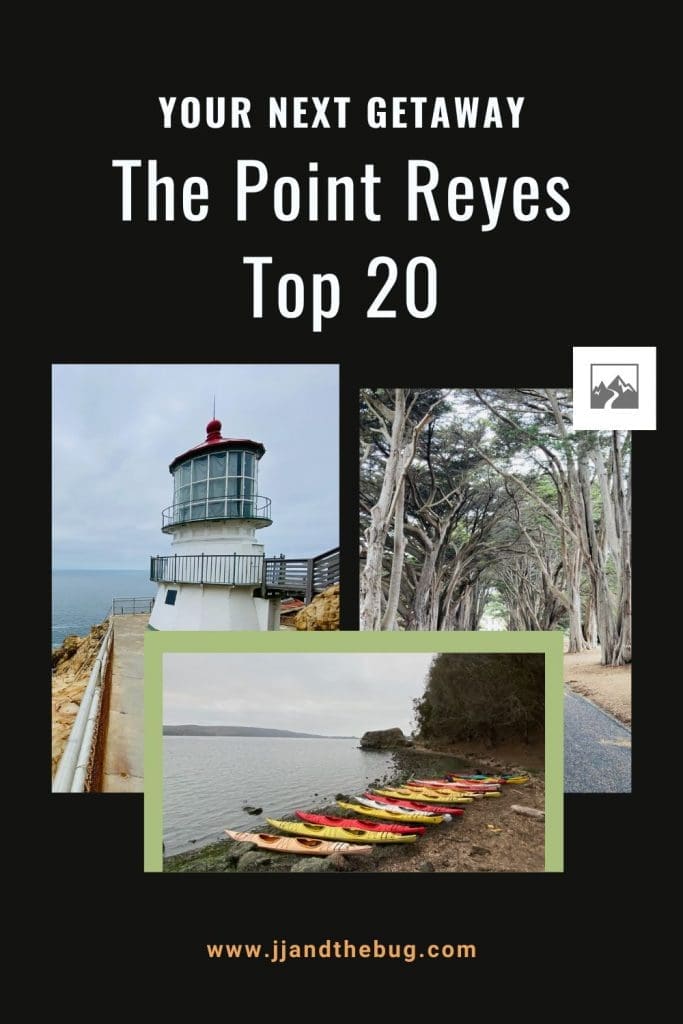 Top 20 Things to Do in Point Reyes Everything You Need to Know for a