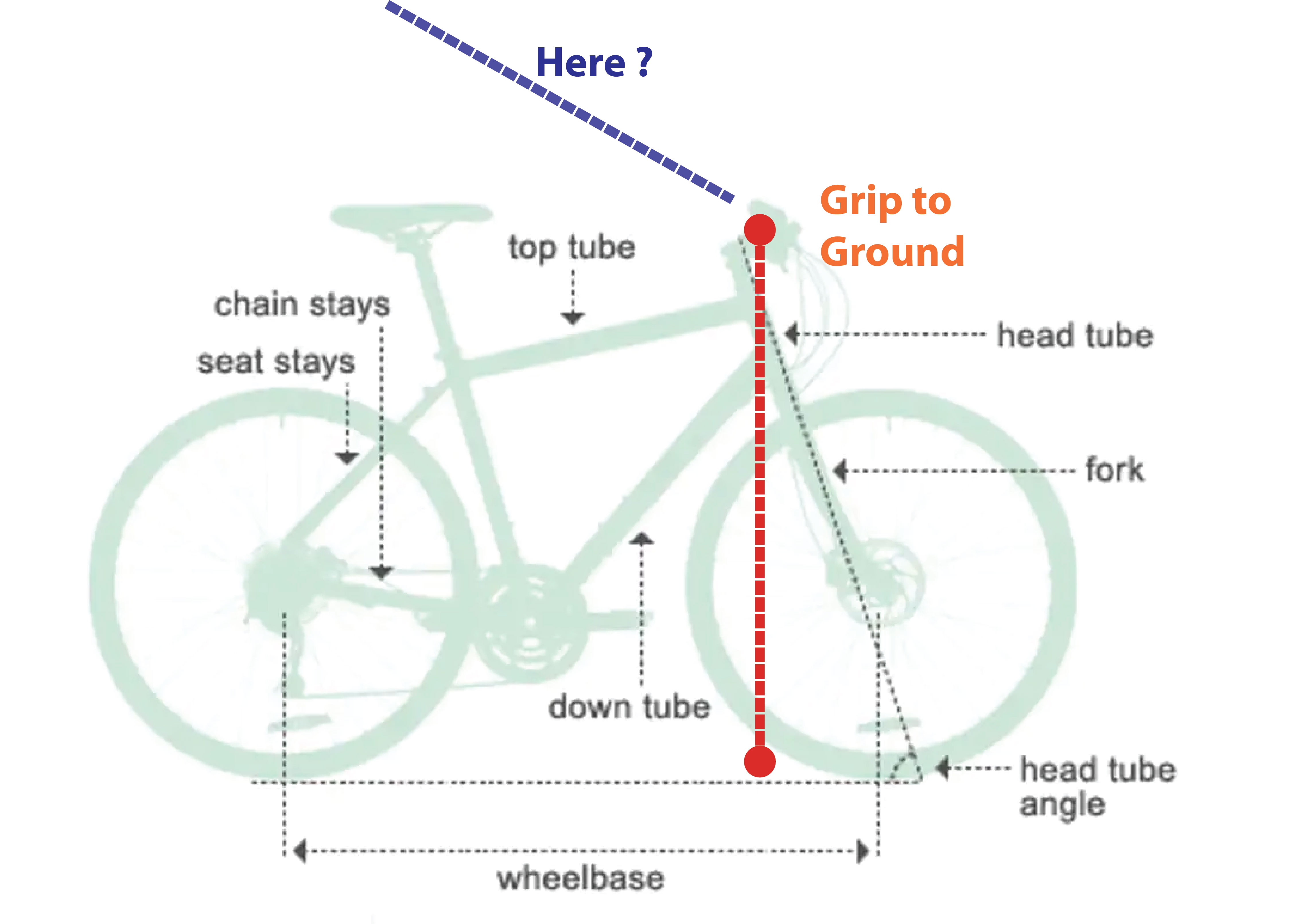 stem Here's What I Found