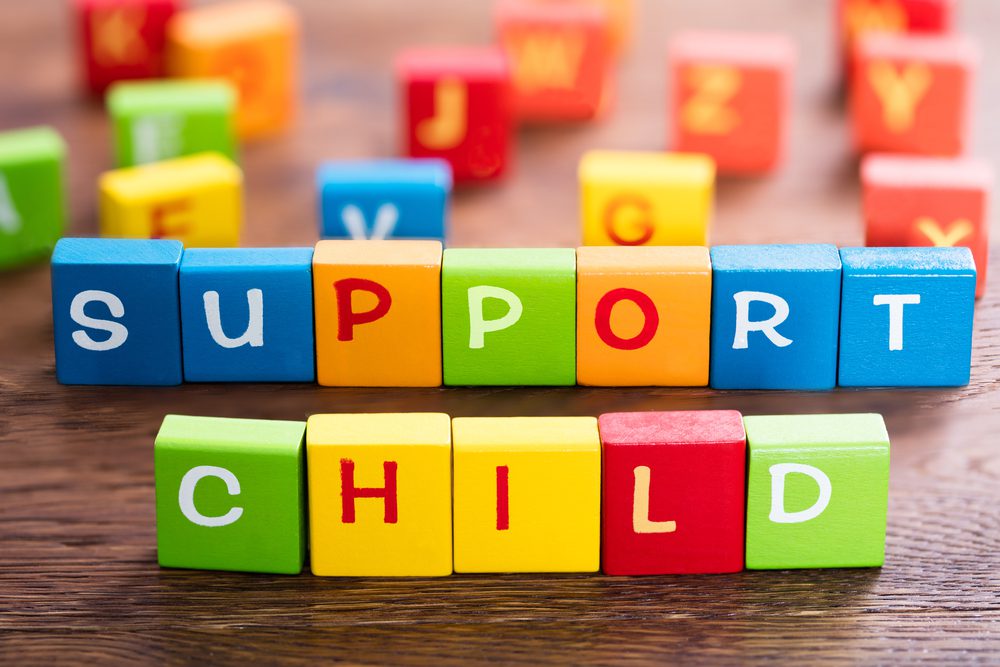 Orlando Child Support Lawyer Florida's Child Support Statute