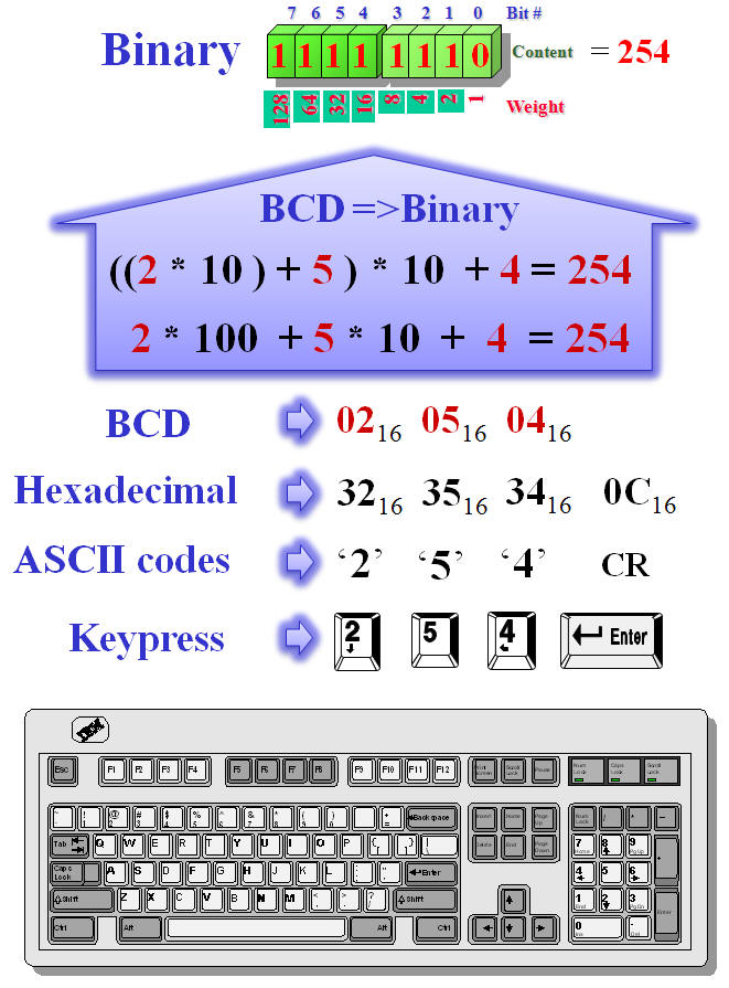 ASCII codes