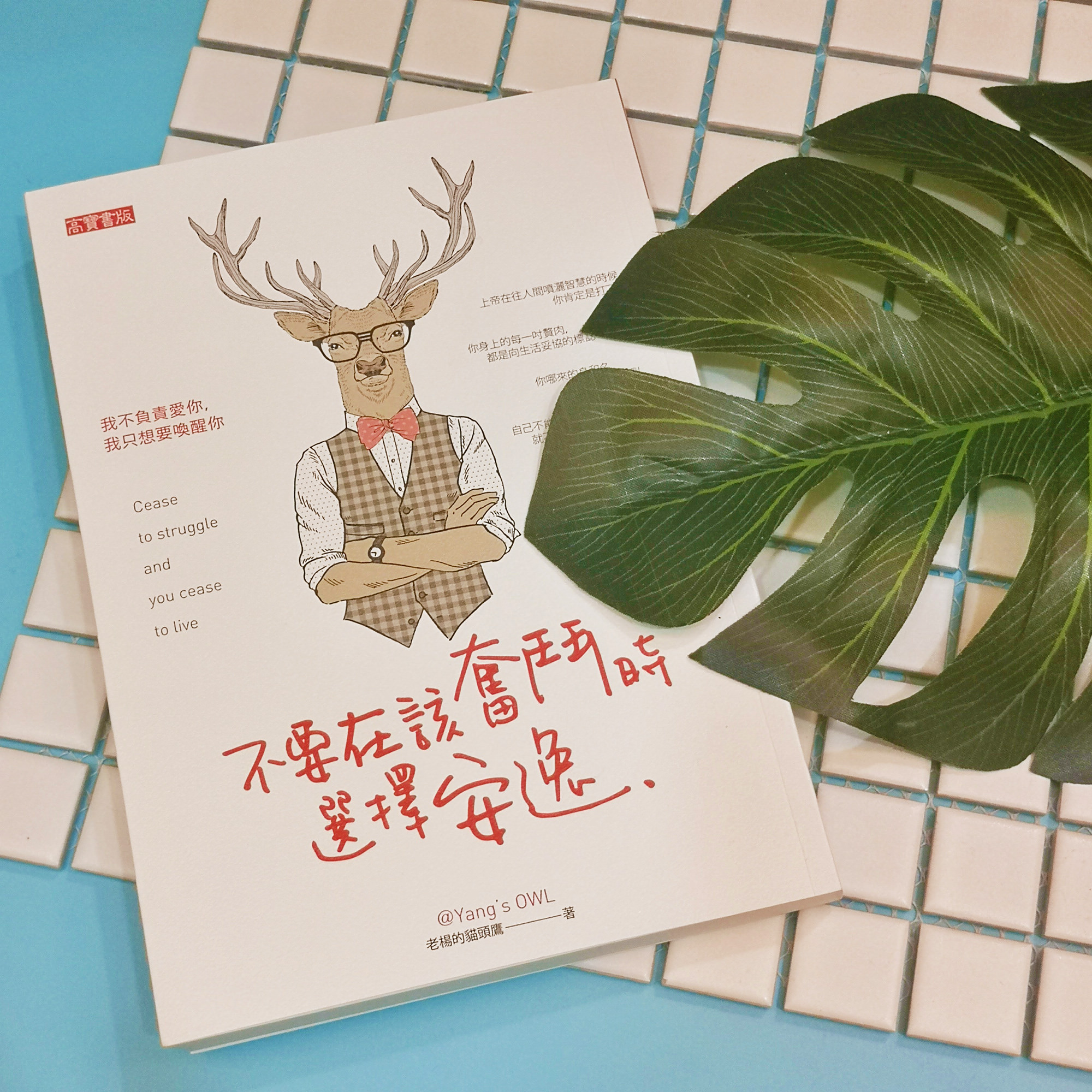 閱讀心得｜不要在該奮鬥時選擇安逸 老楊的貓頭鷹