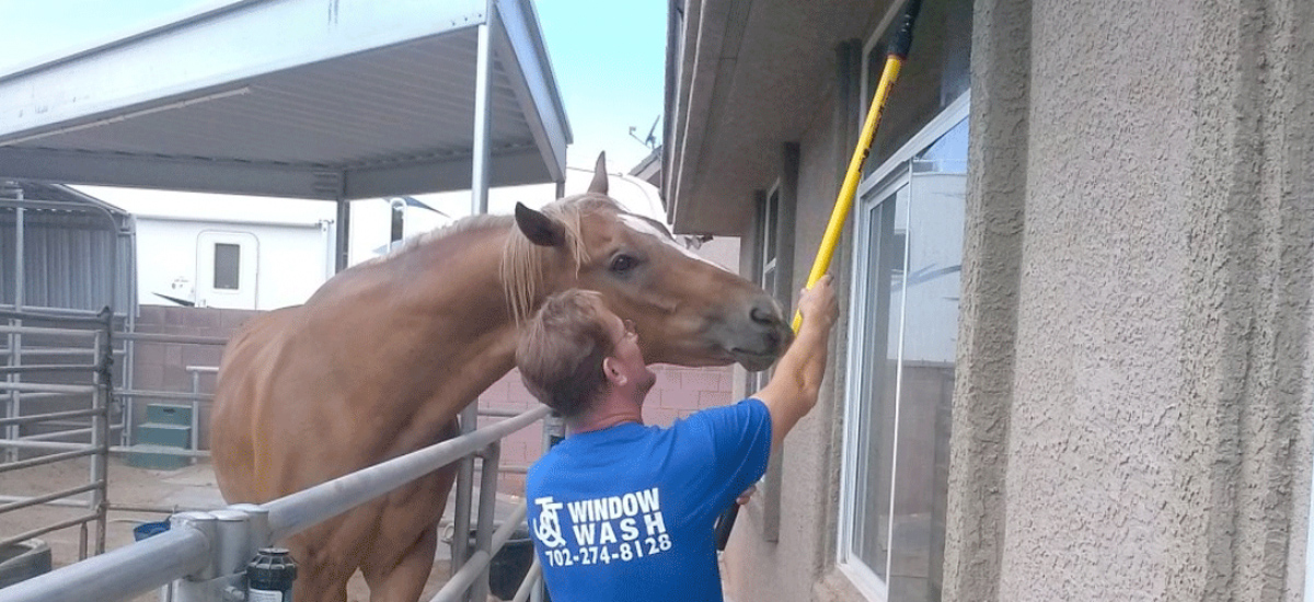 J & J Window Wash J & J Window Wash