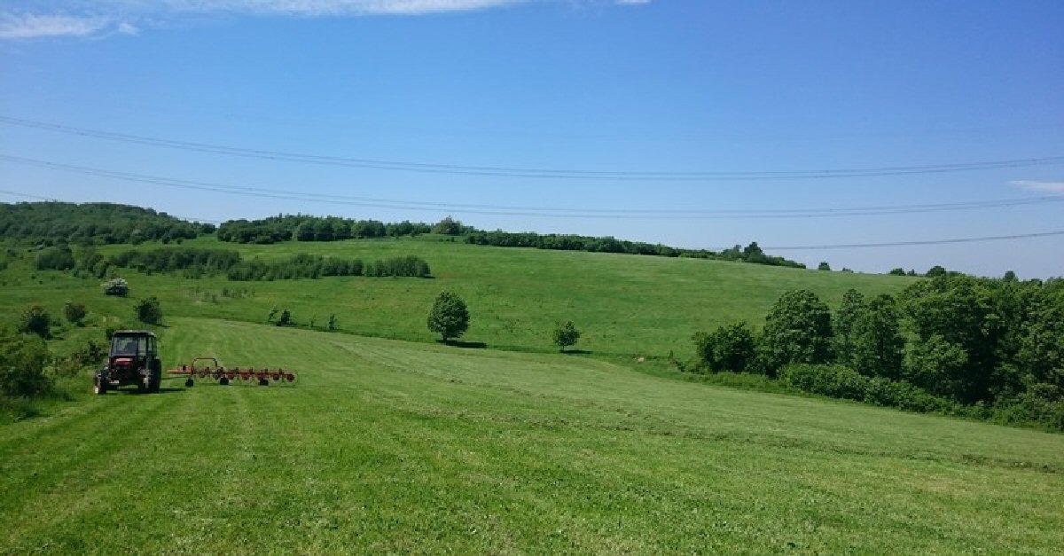 220 ha agricultural farm for sale in Poland