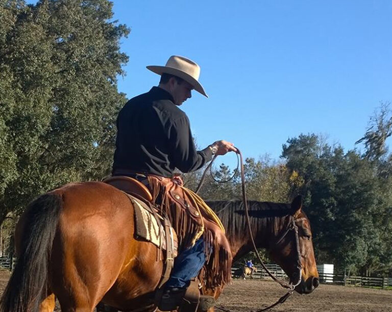 Colt Starting Raising the Baar