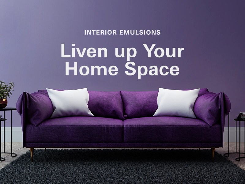 Best Interior emulsion wall Paint bedroom wall colour combination