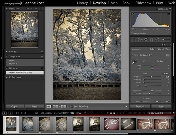 Julieanne Kost's Blog Using Filters to Quickly Find Photos in