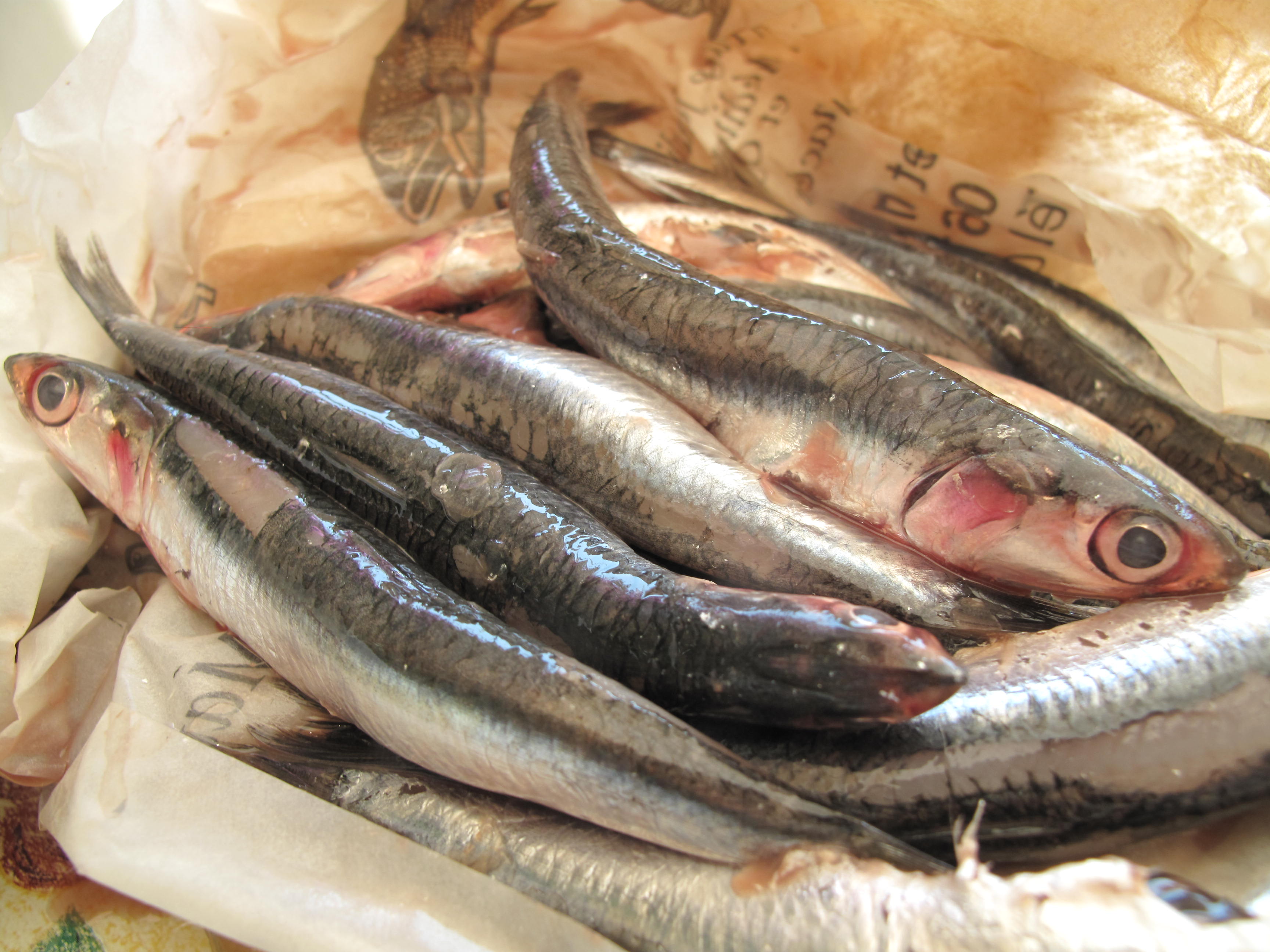 Salted anchovies Silphium Food