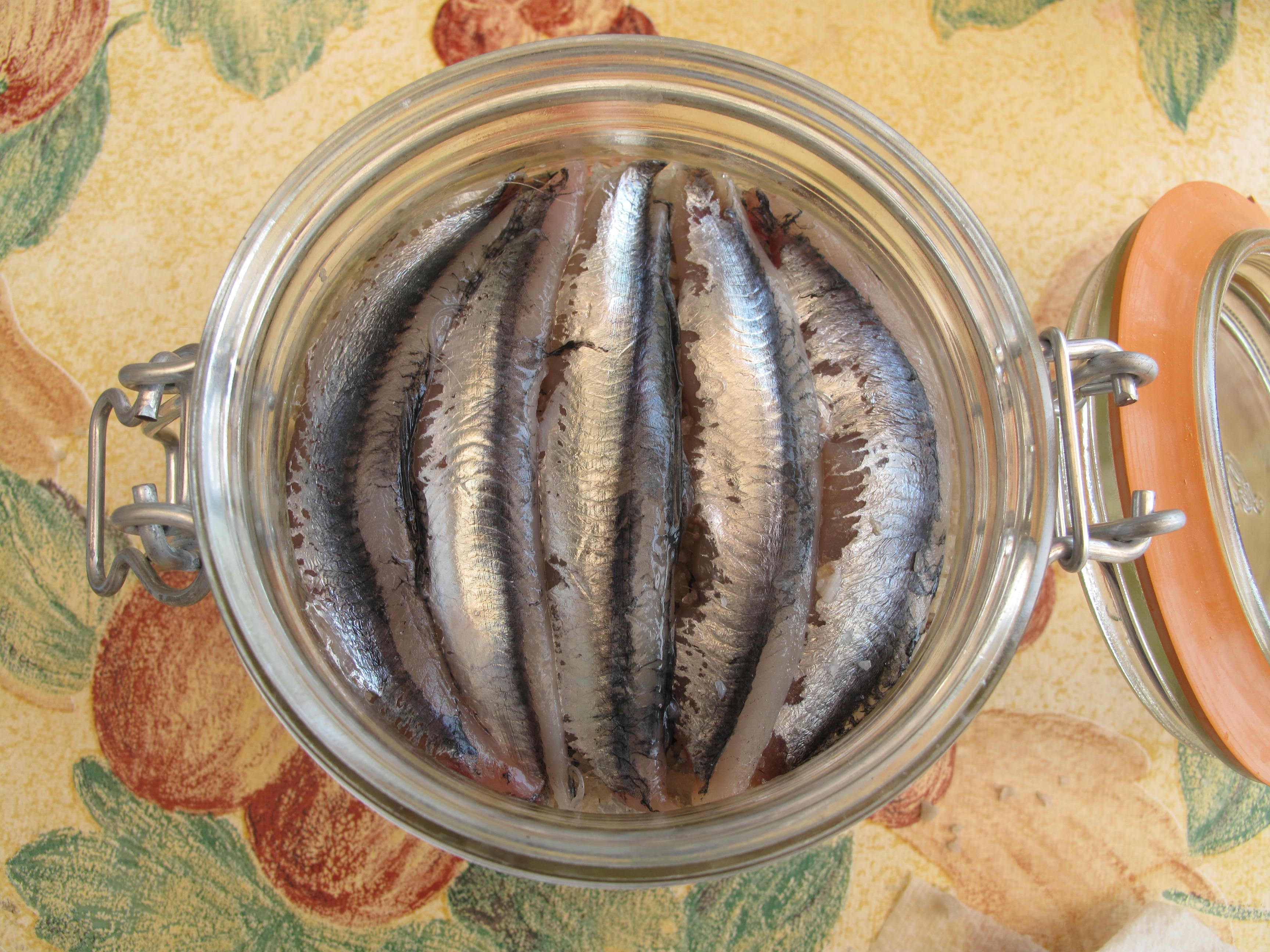 Salted anchovies Jane Levi