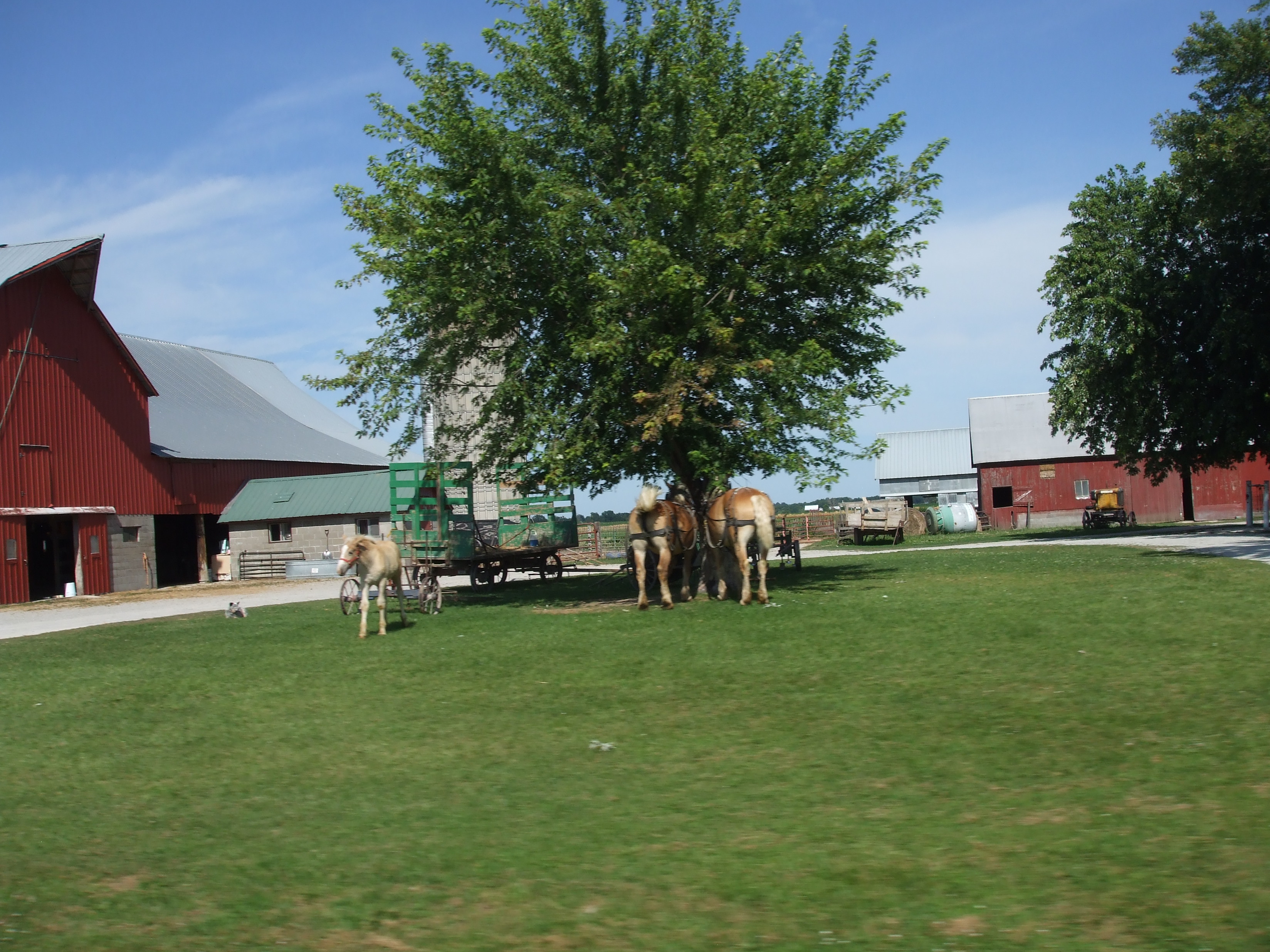 Amish in Missouri Lewis Family Farm