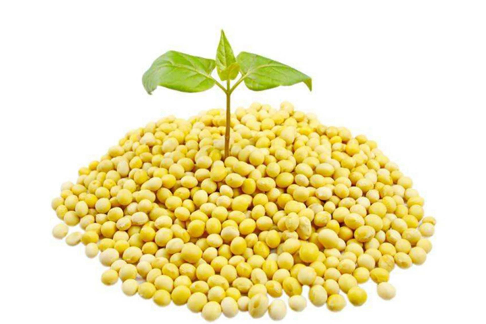 What are the benefits of using textured vegetable protein in food?