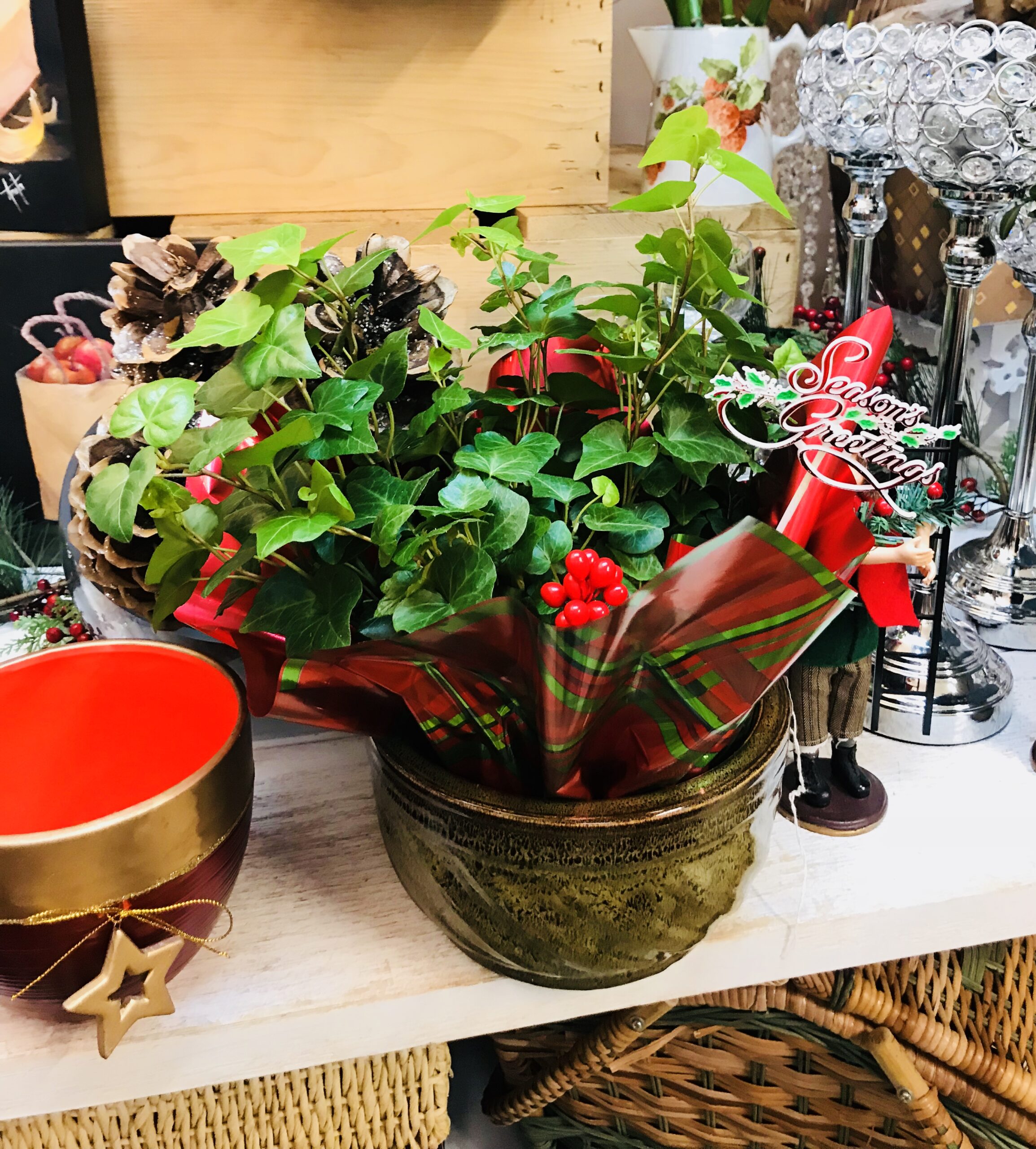 Plants J & M Flowers and Gift Baskets