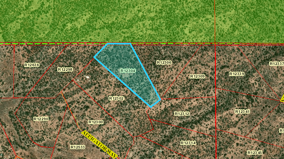 20 Acres for Your Dream Escape Near Ramah, NM 9,999 JM Land Sales