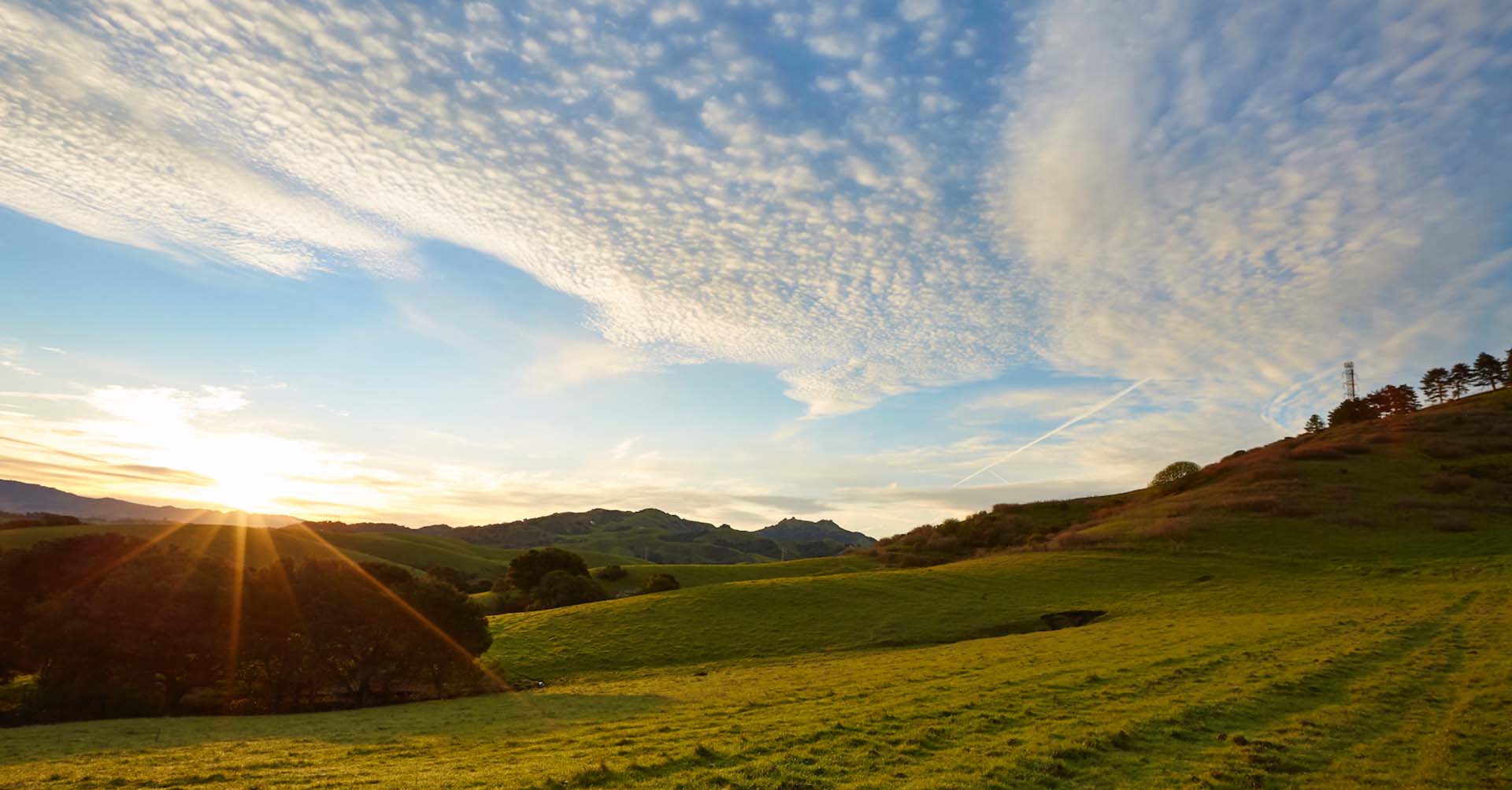 Home John Muir Land Trust