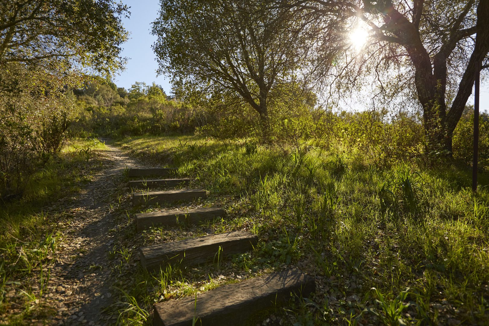 Bodfish Preserve John Muir Land Trust