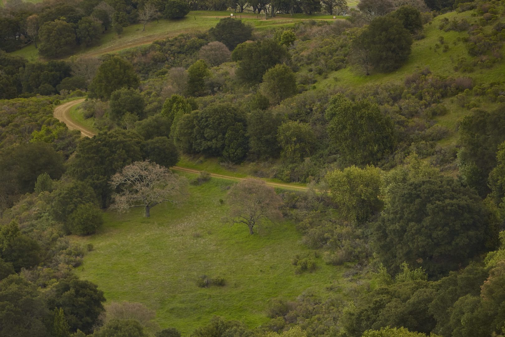 Bodfish Preserve John Muir Land Trust