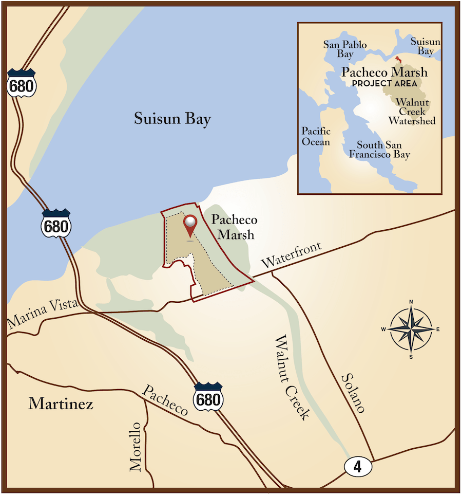 Pacheco Marsh John Muir Land Trust