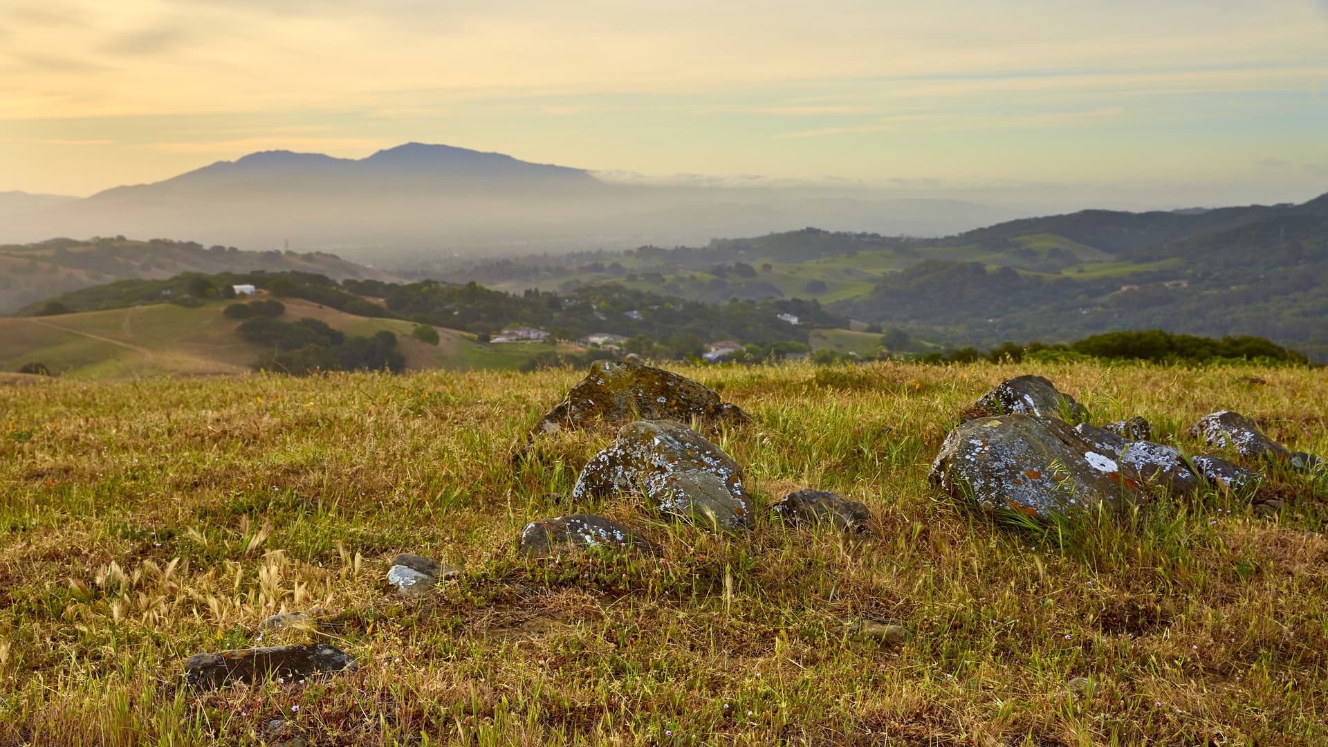 John Muir Land Trust Protecting the places that make the East Bay special