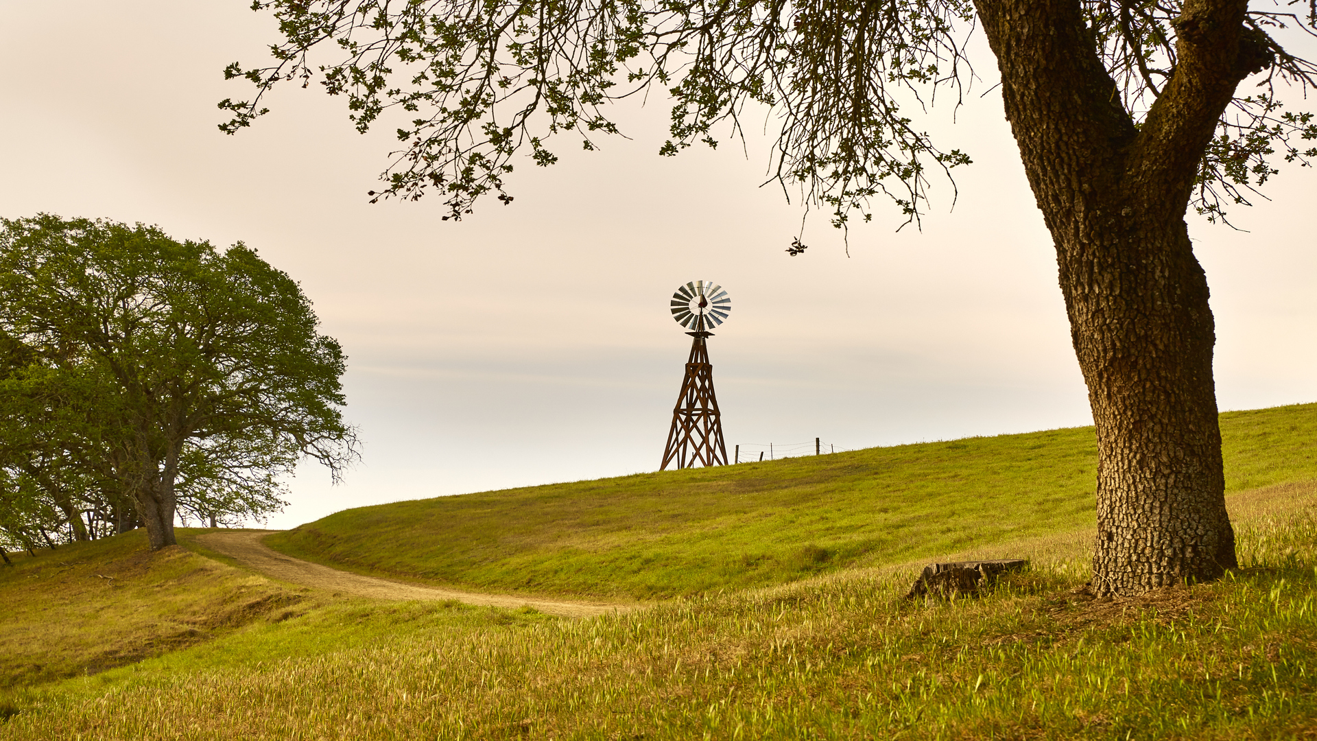 Weekend Hike Almond Ranch has it All John Muir Land Trust