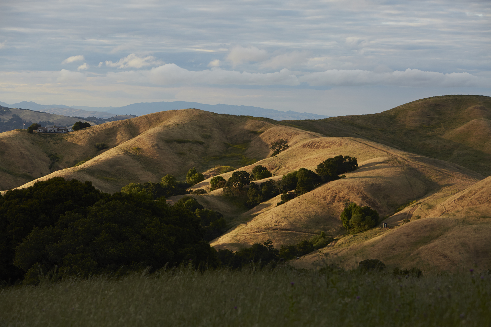 Harvey Ranch John Muir Land Trust