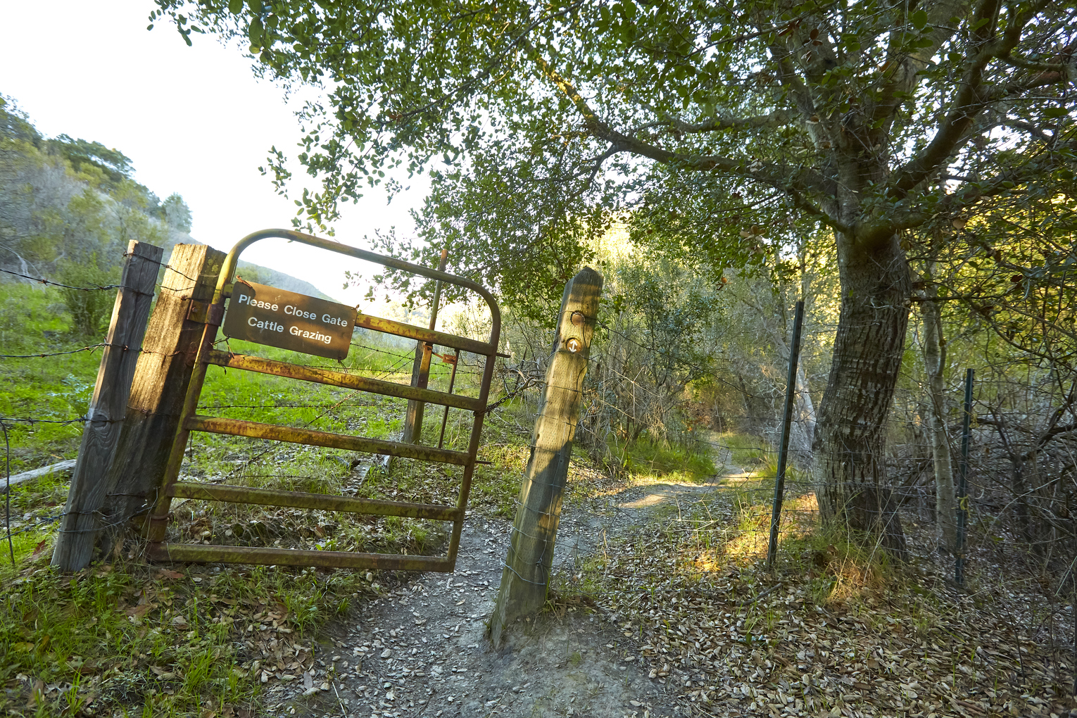 Harvey Ranch John Muir Land Trust