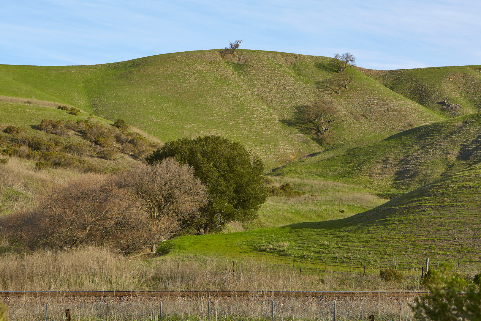 Buffer Lands John Muir Land Trust