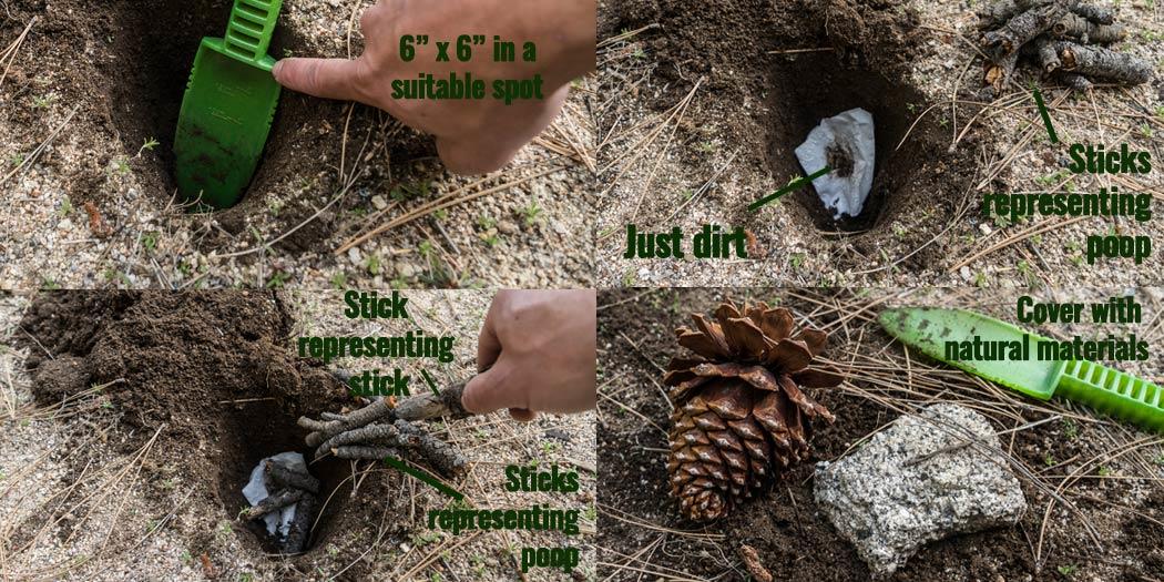 How to Poop in the Woods A Tastefully Illustrated Guide