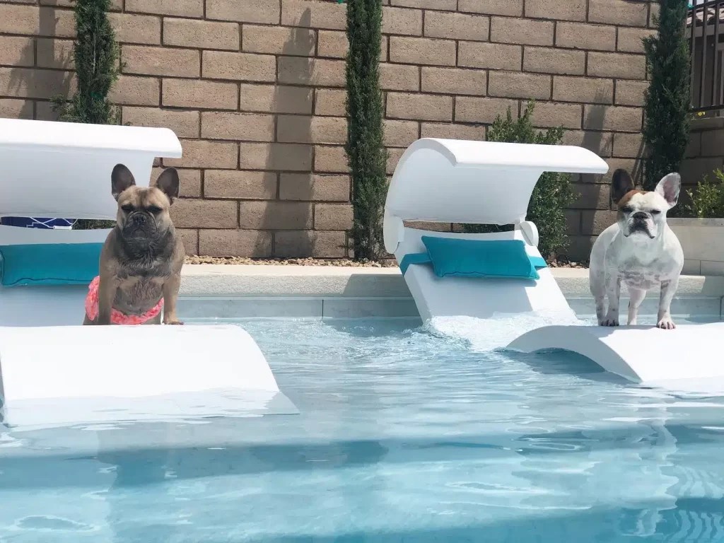 Outdoor Swimming Pool Furniture Peachtree City, GA Lounge Chairs