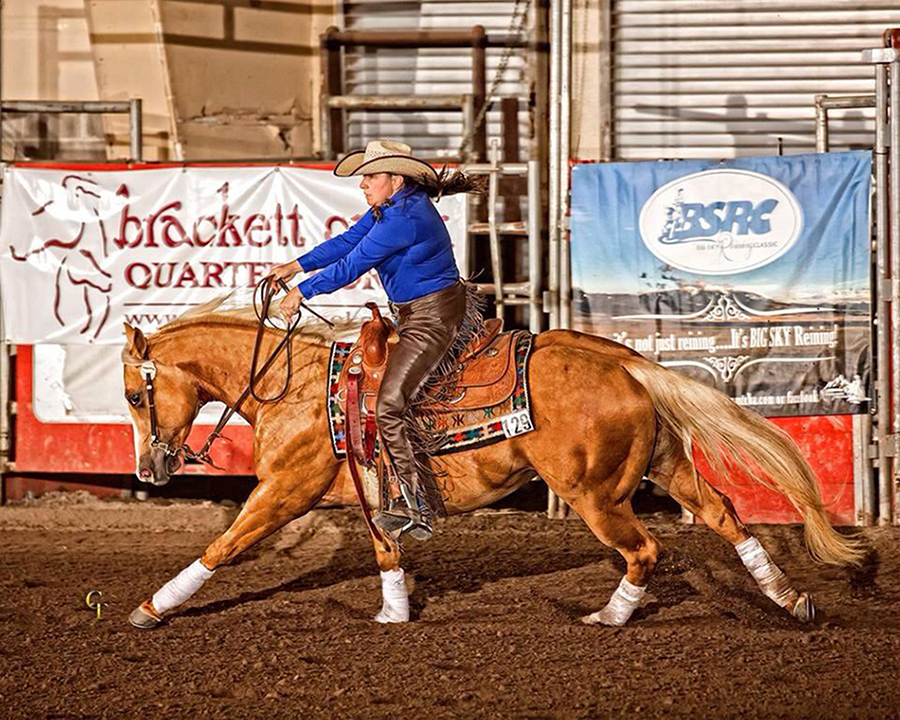 JM Performance Horses JM Performance Horses is owned and operated by