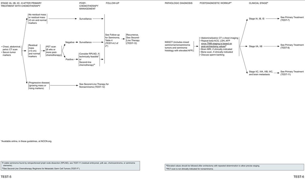 Testicular Cancer, Version 2.2015 in Journal of the National