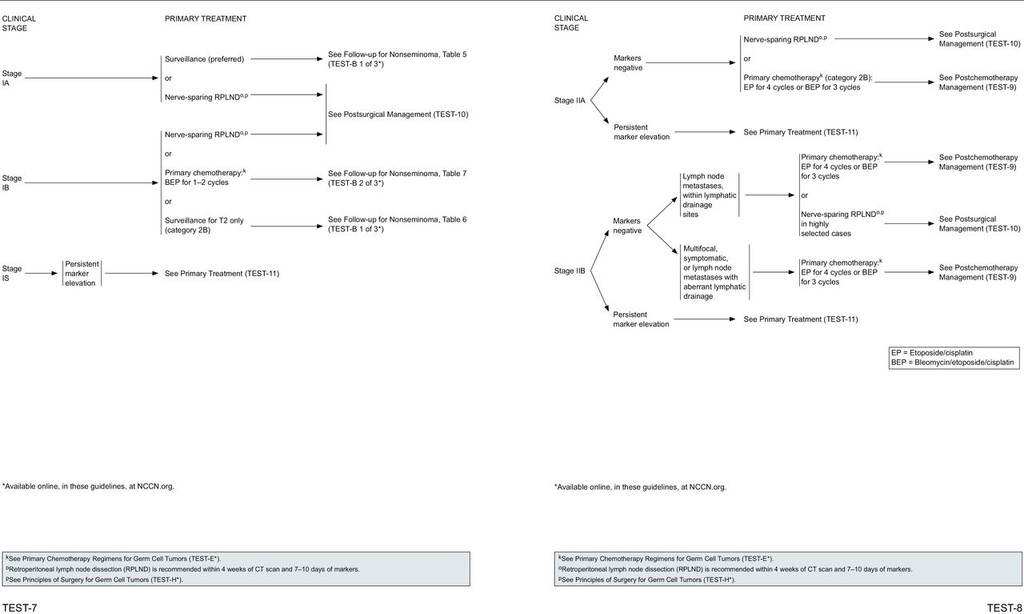 Testicular Cancer, Version 2.2015 in Journal of the National