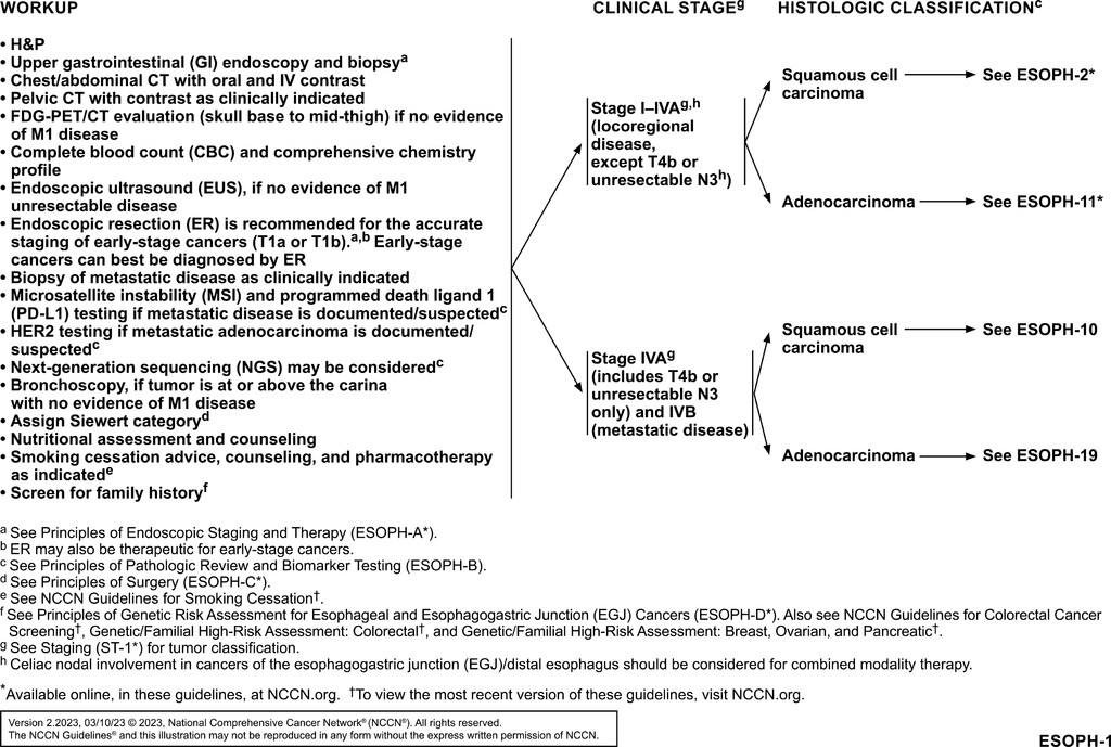 Esophageal and Esophagogastric Junction Cancers, Version 2.2023, NCCN