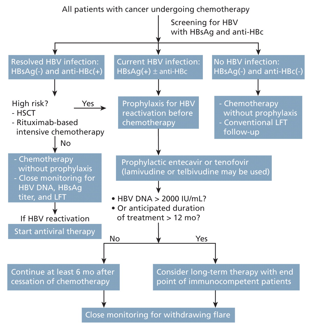 Why, When, and How to Prevent Hepatitis B Virus Reactivation in Cancer