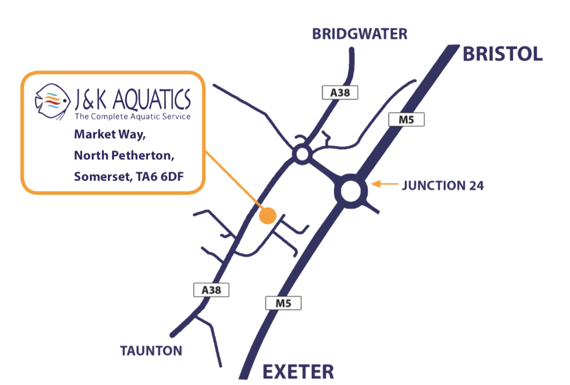Contact us J&K Aquatics Wholesale Aquatic Supplies UKs Best
