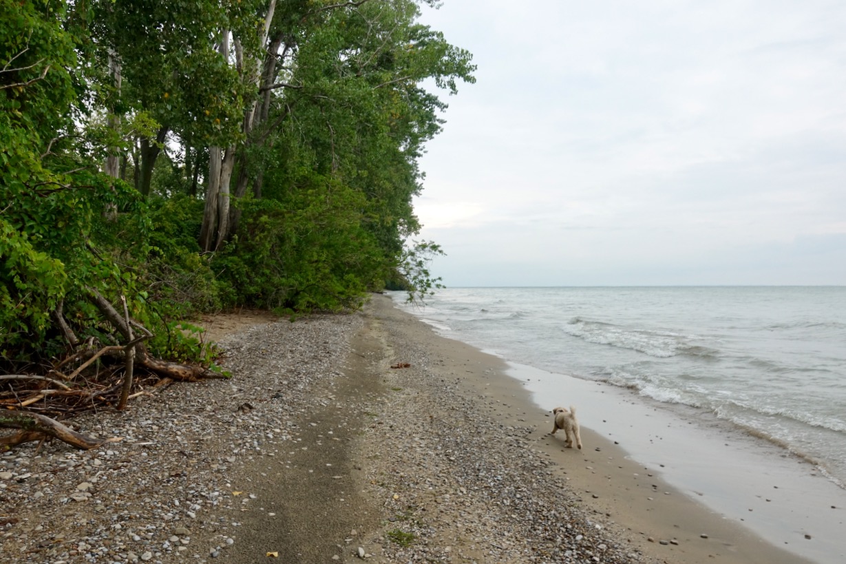 One lap of Pelee Island Biking in a Big City