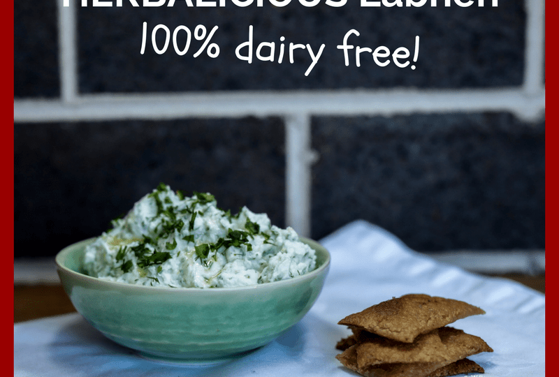 HERBALICIOUS Labneh (AIP/Dairy Free)