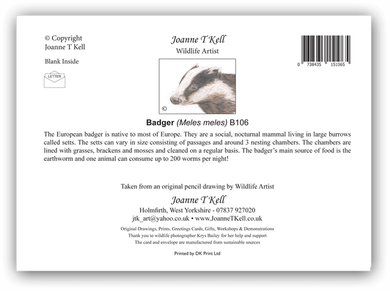 Badger Greetings Card (Close Up) Joanne T. Kell Wildlife Cards & Prints