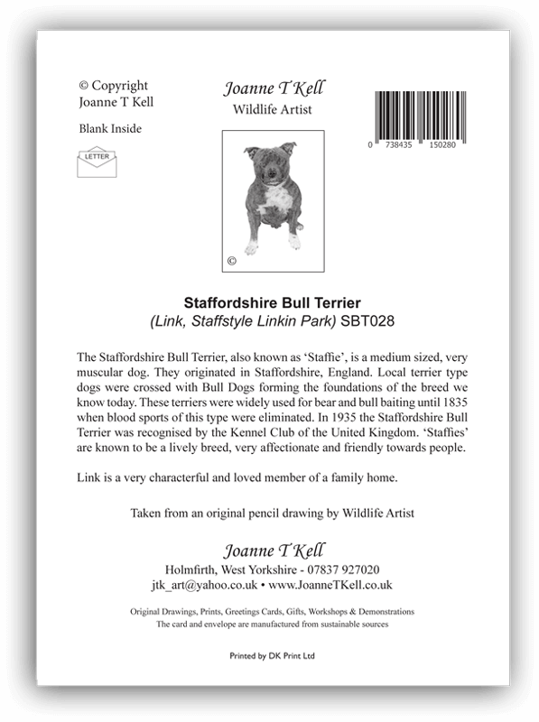 Staffordshire Bull Terrier Greetings Card Joanne T. Kell Wildlife