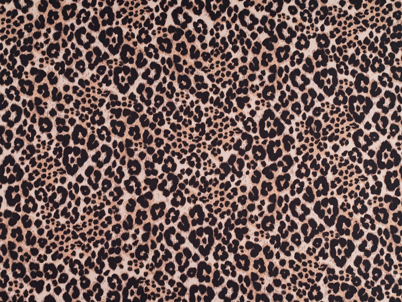 *Preorder* Ace Animal Print Denim Joan’s Fine Fabric